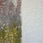 Vorher-Nachher Vergleich Fassadenreinigung