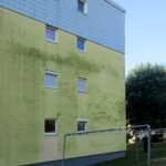 Hausfassde mit grünen Algen