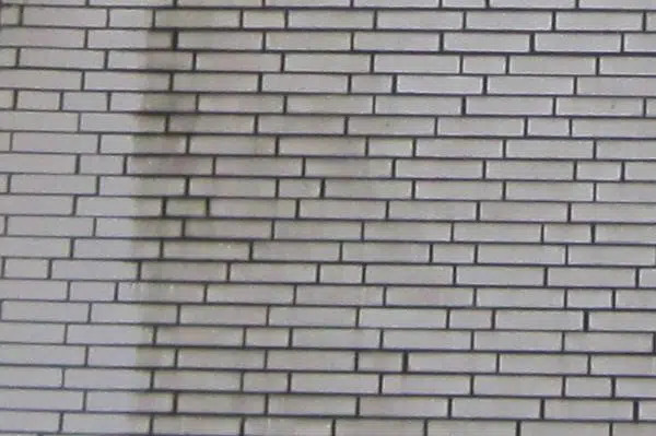 Klinkerfassade reinigen lassen