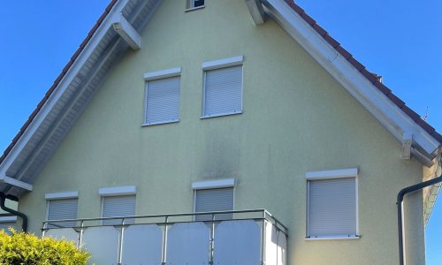 Hausfassade in Stuttgart vor der Fassadenreinigung (Vorher-Foto)