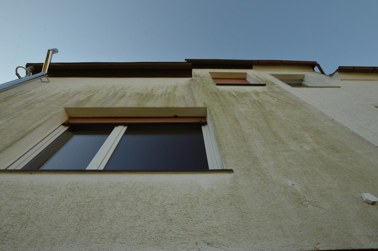 Algenbefall an einer Hausfassade