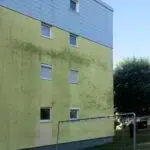 Hausfassade mit Algen vor der Reinigung