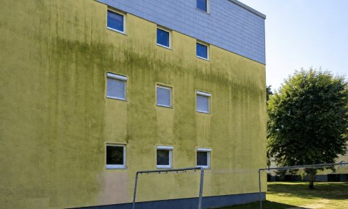 Hausfassade mit Algenbefall vor der Fassadenreinigung