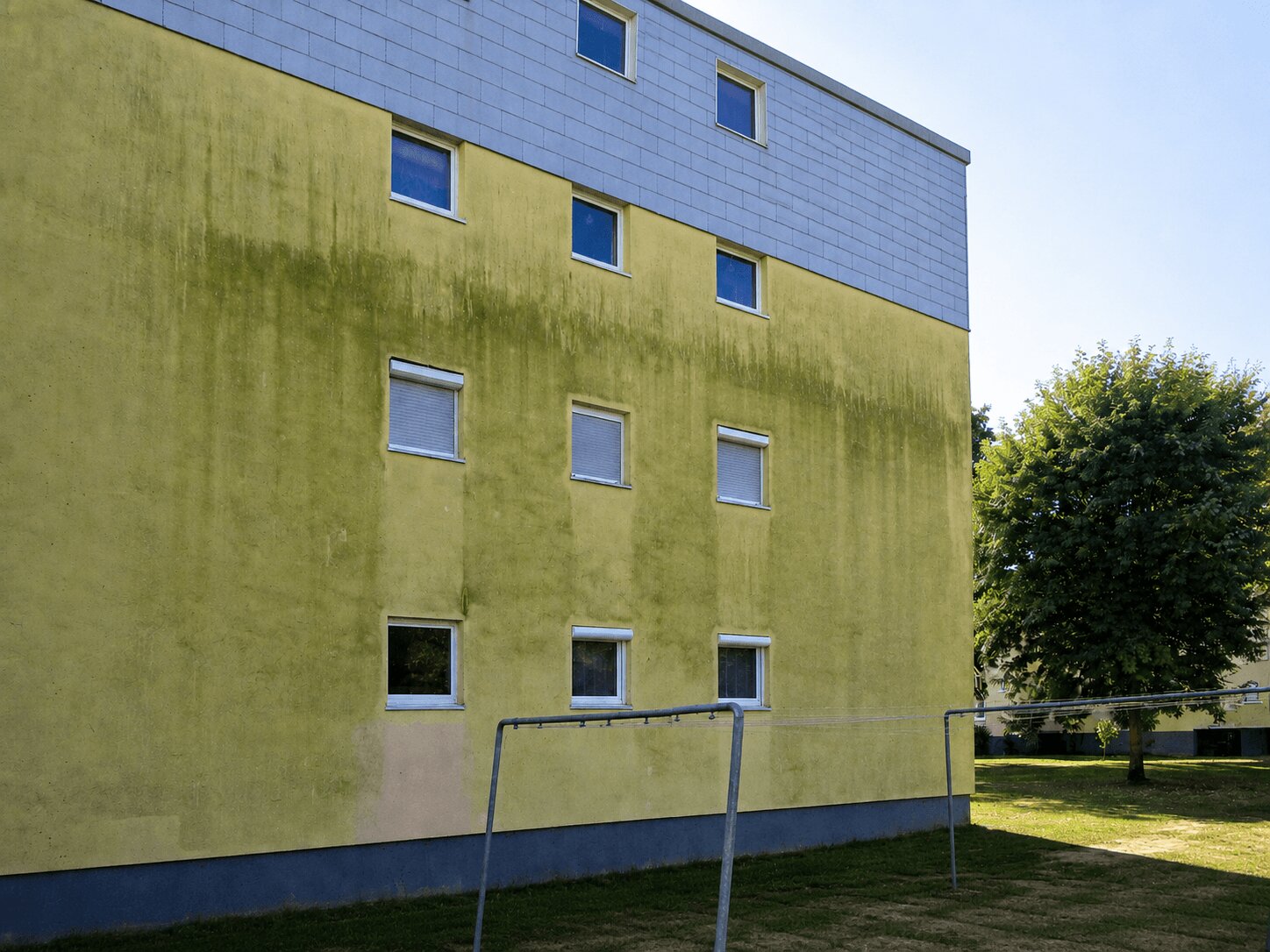 Hausfassade mit Algenbefall vor der Fassadenreinigung