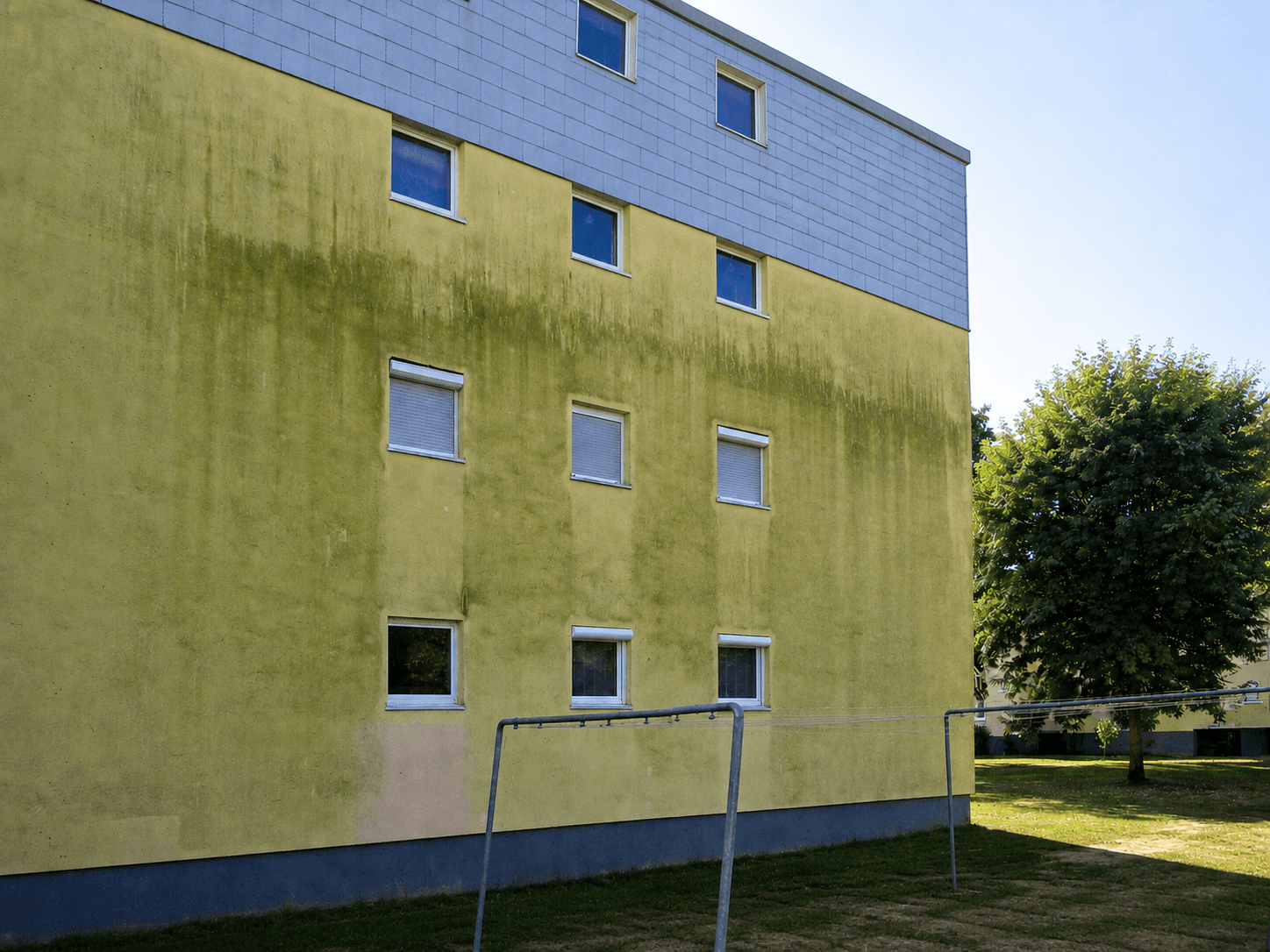Hausfassade mit Algenbefall vor der Fassadenreinigung