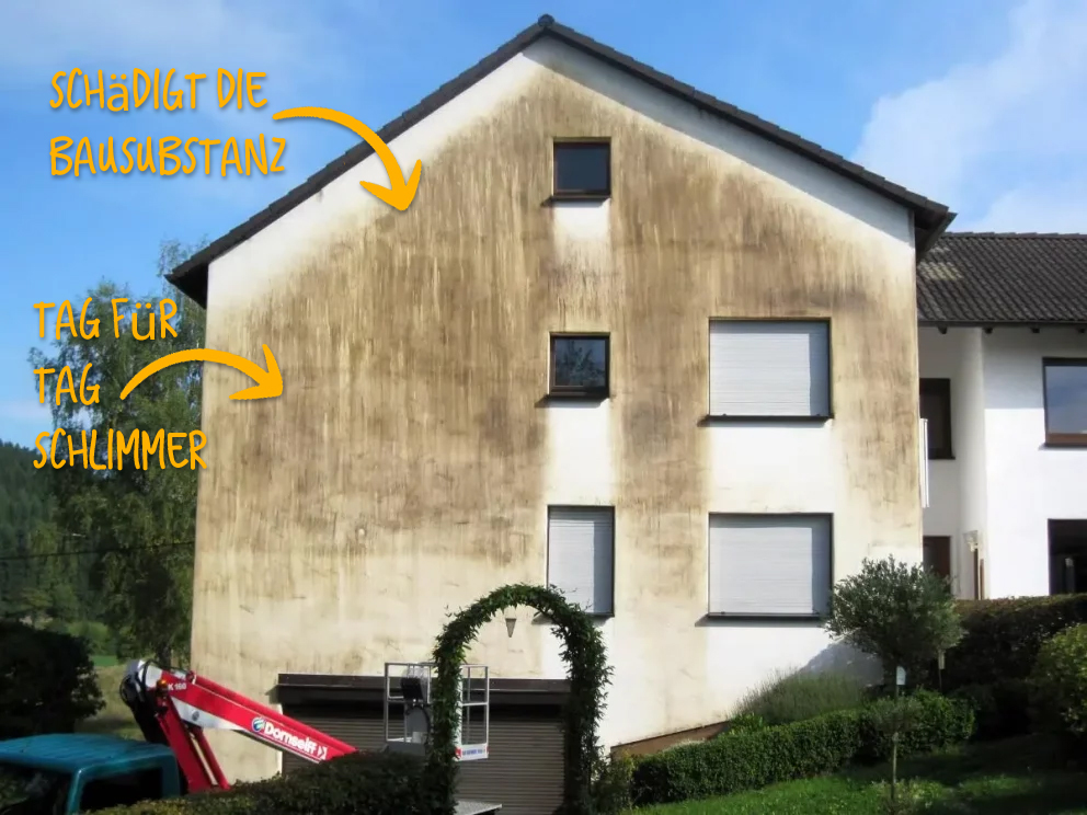 Eigenheim vor der Fassadenreinigung