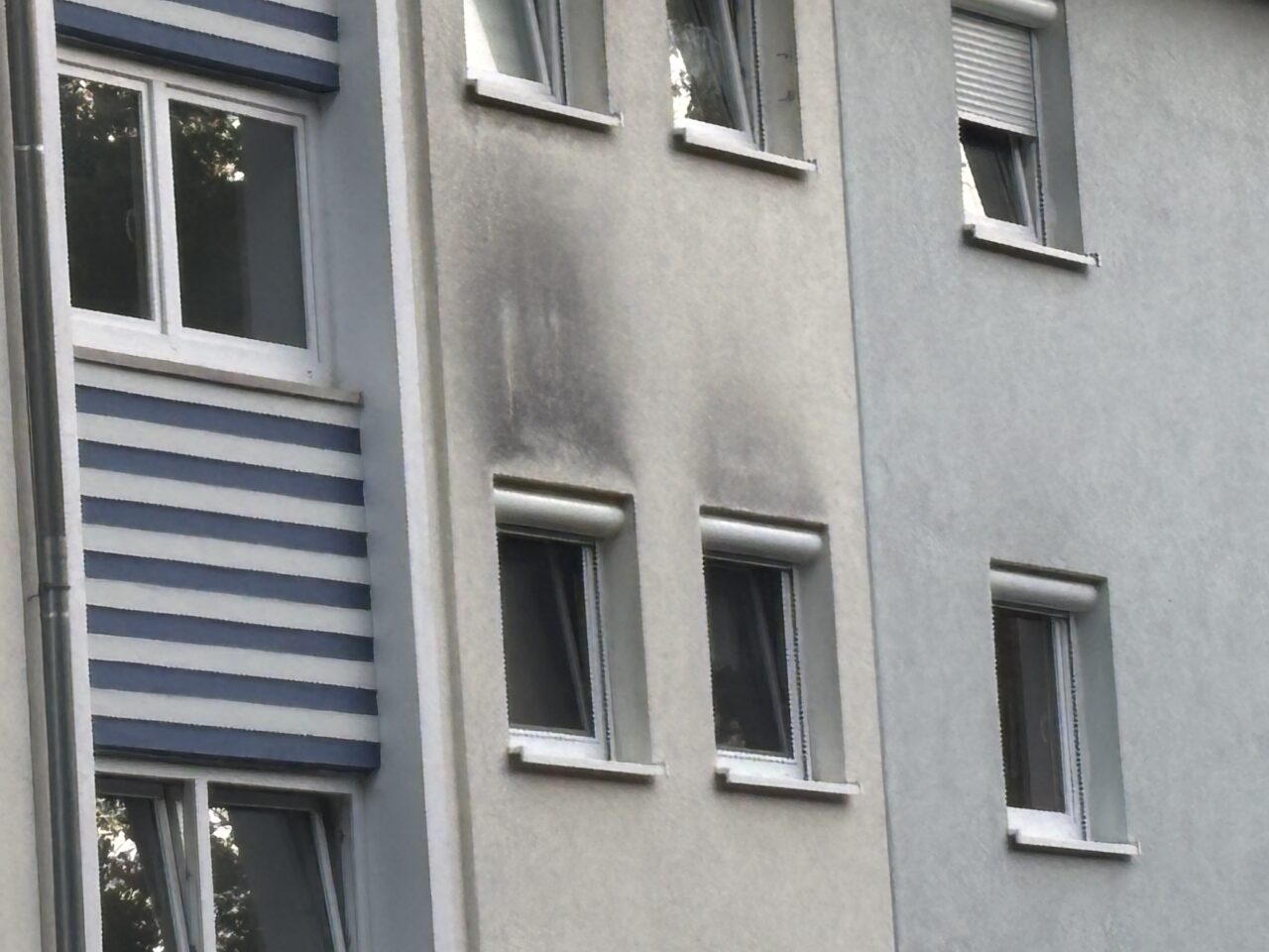 schwarze Flecken über dem Fenster in Mehrfamilienhaus Stuttgart-Vaihingen