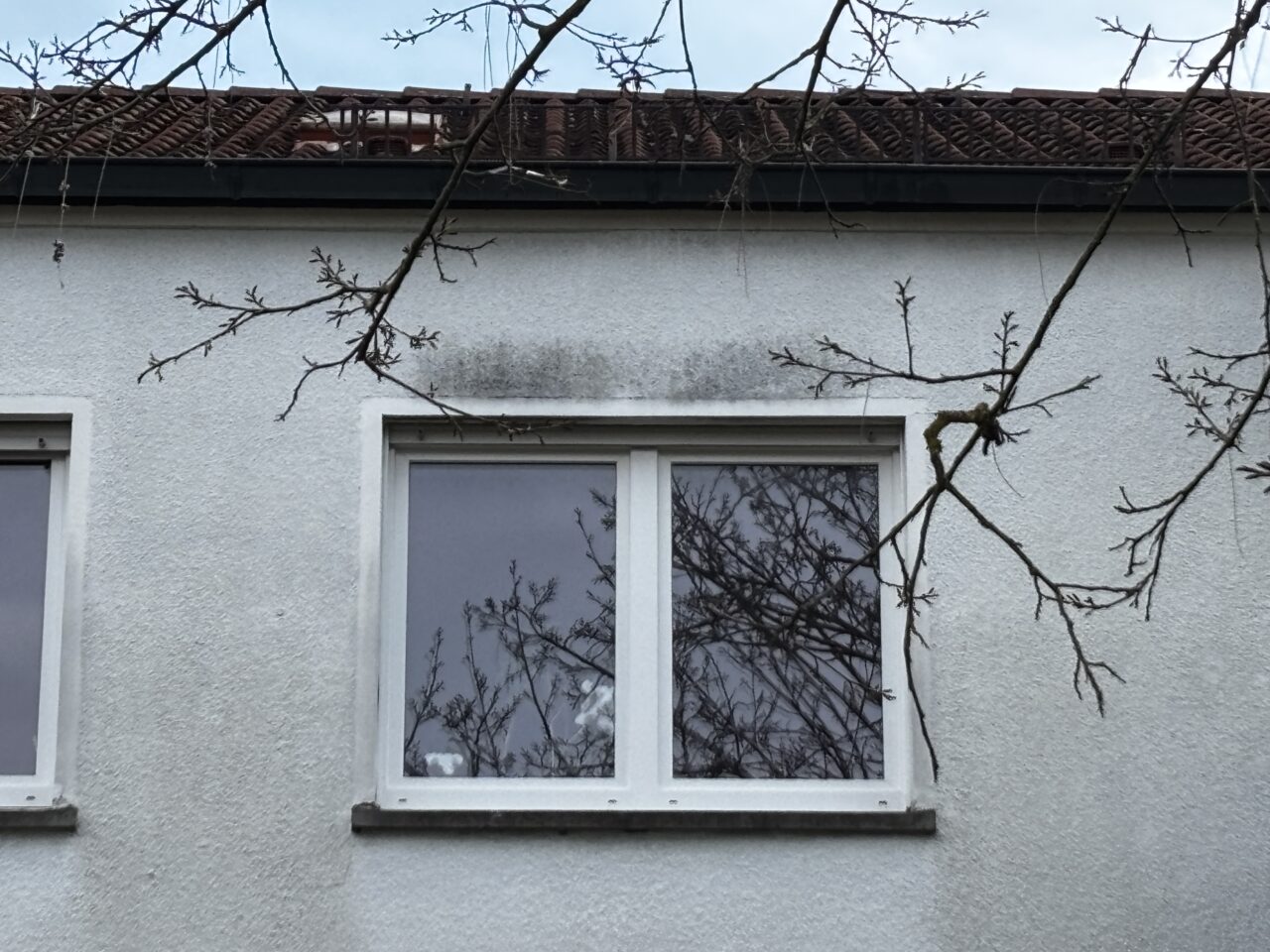 Schwarze Flecken über dem Fenster_Hein Fassadenreinigung